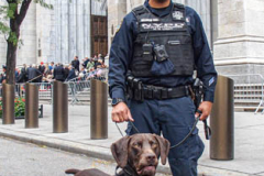 The annual Columbus Parade in NYC took place on between 42nd and 72nd on 5th avenue again this year, after last year’s COVID hiatus, attracting thousands of spectators to watch. The festivities were filled with an abundance of floats and key figure participants in the iconic parade also known as;  “US’s biggest Italian-American Heritage Parade.” 
President Biden also commemorated both today as both Columbus Day and National Indigenous Day.     (C) Bianca Otero. NYC. October 10, 2021.