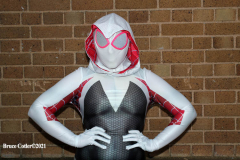 New York,    N.Y. Comic Con 2021 returned this year after a one year absence due to Covid. Attendees came back to enjoy guest speakers and celebrity panel discussions.