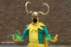 New York,    N.Y. Comic Con 2021 returned this year after a one year absence due to Covid. Attendees came back to enjoy guest speakers and celebrity panel discussions.