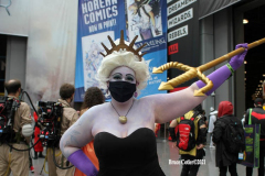 New York,    N.Y. Comic Con 2021 returned this year after a one year absence due to Covid. Attendees came back to enjoy guest speakers and celebrity panel discussions.