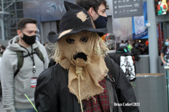 New York,    N.Y. Comic Con 2021 returned this year after a one year absence due to Covid. Attendees came back to enjoy guest speakers and celebrity panel discussions.