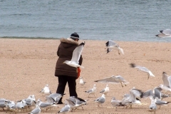 Coney Isalnd Beach and the Coney Island Polar Bear Club which is the oldest winter bathing club in the United States founded in 1903. They swim every Sunday November-April at 1 PM. Woman feeding the birds