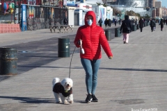 Coney Island Brooklyn. People stroll the Boardwalk in winter clothes on this sunny and cold day, 37 degrees some people sat on benches and others sunned themselves while The Coney Island Polar Bear Club jumped into the Atlantic Ocean for their weekly swim.