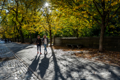 Late afternoon sun in Central Park 11/10/21.  The fine weather brought out simple pleasures.  Long shadows along Fifth Avenue as pedestrians stroll.