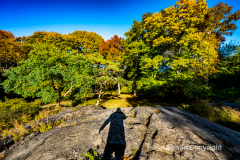 Late afternoon sun in Central Park 11/10/21.  The fine weather brought out simple pleasures.  Self portrait in Central park.