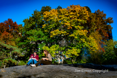 Late afternoon sun in Central Park 11/10/21.  The fine weather brought out simple pleasures.  Two people enjoy a late afternoon lunch in Central park.