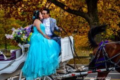 Late afternoon sun in Central Park 11/10/21.  The fine weather brought out simple pleasures.  A late afternoon kiss after marriage in Central Park.