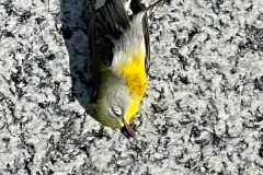 9.19.21_20752_IMG_5472