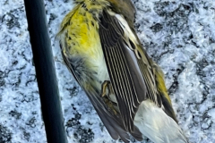 9.19.21_20753_IMG_5473