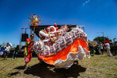 After a 2 year hiatus the Hong Kong Dragon Festival in NY (HKDBF NY) commenced at the Meadow Lake in Flushing Meadows Corona Park, Queens. 
The two day event celebrates the 30th anniversary of the event as well as The Year of the Tiger. A large program filled with events such as  with dragon dance, multi-cultural performers, traditional arts and crafts as well as a selection of food trucks.