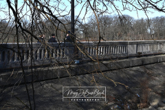 Drowning or DOA?
Staten Island, NY
Tuesday, March 22, 2022

For Credit:  Mary DiBiase Blaich

A man was found in the Silver Lake Reservoir shortly after 7 AM this morning.  Emergency responders recovered his body from the water. The man was deceased, and an investigation began. The NYPD and the City ME were on scene.  This is the second individual pulled from this location in 2022.  A third drowning occurred last summer when a child climbed the rail and drowned.  A memorial to her is still in place this morning.