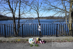 Drowning or DOA?
Staten Island, NY
Tuesday, March 22, 2022

For Credit:  Mary DiBiase Blaich

A man was found in the Silver Lake Reservoir shortly after 7 AM this morning.  Emergency responders recovered his body from the water. The man was deceased, and an investigation began. The NYPD and the City ME were on scene.  This is the second individual pulled from this location in 2022.  A third drowning occurred last summer when a child climbed the rail and drowned.  A memorial to her is still in place this morning.