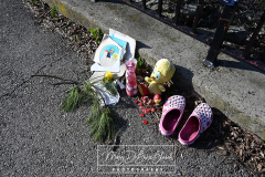 Drowning or DOA?
Staten Island, NY
Tuesday, March 22, 2022

For Credit:  Mary DiBiase Blaich

A man was found in the Silver Lake Reservoir shortly after 7 AM this morning.  Emergency responders recovered his body from the water. The man was deceased, and an investigation began. The NYPD and the City ME were on scene.  This is the second individual pulled from this location in 2022.  A third drowning occurred last summer when a child climbed the rail and drowned.  A memorial to her is still in place this morning.