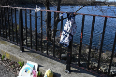 Drowning or DOA?
Staten Island, NY
Tuesday, March 22, 2022

For Credit:  Mary DiBiase Blaich

A man was found in the Silver Lake Reservoir shortly after 7 AM this morning.  Emergency responders recovered his body from the water. The man was deceased, and an investigation began. The NYPD and the City ME were on scene.  This is the second individual pulled from this location in 2022.  A third drowning occurred last summer when a child climbed the rail and drowned.  A memorial to her is still in place this morning.