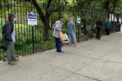 EARLY VOTING OCTOBER 2020 DURING THE COVID 19 PANDEMIC