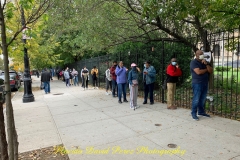 EARLY VOTING OCTOBER 2020 DURING THE COVID 19 PANDEMIC