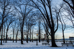 East River Park Protest & Details		

Protesters gathered in East River Park to prevent contracted construction workers from cutting down trees for headway on the ESCR - East Side Coastal Resiliency project, an effort of the city to build a levee that will provide flood control.
According to public plans, a 1.2 mile wall with razed park over an 8 foot fill will line the East River, requiring the expunging of an estimated 1000 trees along the river bank. Last year in December the Cherry and London Plane trees of the south section of the park were, cut and further work has resumed on northern half this January. 
Locals in the city, retaliate against the project due to what they claim to be, a thwarted joint effort for a viable solution for flooding and keeping the park in tact that is beloved and iconic component of not only the neighborhood but NYC. 
For more information: 
www.eastriverparkaction.org
January 31, 2021
East River Park, East Village, NYC 
(C) Bianca Otero