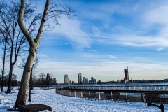 East River Park Protest & Details		

Protesters gathered in East River Park to prevent contracted construction workers from cutting down trees for headway on the ESCR - East Side Coastal Resiliency project, an effort of the city to build a levee that will provide flood control.
According to public plans, a 1.2 mile wall with razed park over an 8 foot fill will line the East River, requiring the expunging of an estimated 1000 trees along the river bank. Last year in December the Cherry and London Plane trees of the south section of the park were, cut and further work has resumed on northern half this January. 
Locals in the city, retaliate against the project due to what they claim to be, a thwarted joint effort for a viable solution for flooding and keeping the park in tact that is beloved and iconic component of not only the neighborhood but NYC. 
For more information: 
www.eastriverparkaction.org
January 31, 2021
East River Park, East Village, NYC 
(C) Bianca Otero