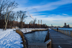 East River Park Protest & Details		

Protesters gathered in East River Park to prevent contracted construction workers from cutting down trees for headway on the ESCR - East Side Coastal Resiliency project, an effort of the city to build a levee that will provide flood control.
According to public plans, a 1.2 mile wall with razed park over an 8 foot fill will line the East River, requiring the expunging of an estimated 1000 trees along the river bank. Last year in December the Cherry and London Plane trees of the south section of the park were, cut and further work has resumed on northern half this January. 
Locals in the city, retaliate against the project due to what they claim to be, a thwarted joint effort for a viable solution for flooding and keeping the park in tact that is beloved and iconic component of not only the neighborhood but NYC. 
For more information: 
www.eastriverparkaction.org
January 31, 2021
East River Park, East Village, NYC 
(C) Bianca Otero