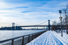 East River Park Protest & Details		

Protesters gathered in East River Park to prevent contracted construction workers from cutting down trees for headway on the ESCR - East Side Coastal Resiliency project, an effort of the city to build a levee that will provide flood control.
According to public plans, a 1.2 mile wall with razed park over an 8 foot fill will line the East River, requiring the expunging of an estimated 1000 trees along the river bank. Last year in December the Cherry and London Plane trees of the south section of the park were, cut and further work has resumed on northern half this January. 
Locals in the city, retaliate against the project due to what they claim to be, a thwarted joint effort for a viable solution for flooding and keeping the park in tact that is beloved and iconic component of not only the neighborhood but NYC. 
For more information: 
www.eastriverparkaction.org
January 31, 2021
East River Park, East Village, NYC 
(C) Bianca Otero