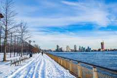 East River Park Protest & Details		

Protesters gathered in East River Park to prevent contracted construction workers from cutting down trees for headway on the ESCR - East Side Coastal Resiliency project, an effort of the city to build a levee that will provide flood control.
According to public plans, a 1.2 mile wall with razed park over an 8 foot fill will line the East River, requiring the expunging of an estimated 1000 trees along the river bank. Last year in December the Cherry and London Plane trees of the south section of the park were, cut and further work has resumed on northern half this January. 
Locals in the city, retaliate against the project due to what they claim to be, a thwarted joint effort for a viable solution for flooding and keeping the park in tact that is beloved and iconic component of not only the neighborhood but NYC. 
For more information: 
www.eastriverparkaction.org
January 31, 2021
East River Park, East Village, NYC 
(C) Bianca Otero