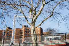 East River Park Protest & Details		

Protesters gathered in East River Park to prevent contracted construction workers from cutting down trees for headway on the ESCR - East Side Coastal Resiliency project, an effort of the city to build a levee that will provide flood control.
According to public plans, a 1.2 mile wall with razed park over an 8 foot fill will line the East River, requiring the expunging of an estimated 1000 trees along the river bank. Last year in December the Cherry and London Plane trees of the south section of the park were, cut and further work has resumed on northern half this January. 
Locals in the city, retaliate against the project due to what they claim to be, a thwarted joint effort for a viable solution for flooding and keeping the park in tact that is beloved and iconic component of not only the neighborhood but NYC. 
For more information: 
www.eastriverparkaction.org
January 31, 2021
East River Park, East Village, NYC 
(C) Bianca Otero