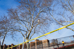 East River Park Protest & Details		

Protesters gathered in East River Park to prevent contracted construction workers from cutting down trees for headway on the ESCR - East Side Coastal Resiliency project, an effort of the city to build a levee that will provide flood control.
According to public plans, a 1.2 mile wall with razed park over an 8 foot fill will line the East River, requiring the expunging of an estimated 1000 trees along the river bank. Last year in December the Cherry and London Plane trees of the south section of the park were, cut and further work has resumed on northern half this January. 
Locals in the city, retaliate against the project due to what they claim to be, a thwarted joint effort for a viable solution for flooding and keeping the park in tact that is beloved and iconic component of not only the neighborhood but NYC. 
For more information: 
www.eastriverparkaction.org
January 31, 2021
East River Park, East Village, NYC 
(C) Bianca Otero
