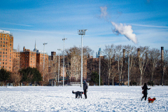 East River Park Protest & Details		

Protesters gathered in East River Park to prevent contracted construction workers from cutting down trees for headway on the ESCR - East Side Coastal Resiliency project, an effort of the city to build a levee that will provide flood control.
According to public plans, a 1.2 mile wall with razed park over an 8 foot fill will line the East River, requiring the expunging of an estimated 1000 trees along the river bank. Last year in December the Cherry and London Plane trees of the south section of the park were, cut and further work has resumed on northern half this January. 
Locals in the city, retaliate against the project due to what they claim to be, a thwarted joint effort for a viable solution for flooding and keeping the park in tact that is beloved and iconic component of not only the neighborhood but NYC. 
For more information: 
www.eastriverparkaction.org
January 31, 2021
East River Park, East Village, NYC 
(C) Bianca Otero