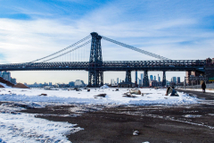 East River Park Protest & Details		

Protesters gathered in East River Park to prevent contracted construction workers from cutting down trees for headway on the ESCR - East Side Coastal Resiliency project, an effort of the city to build a levee that will provide flood control.
According to public plans, a 1.2 mile wall with razed park over an 8 foot fill will line the East River, requiring the expunging of an estimated 1000 trees along the river bank. Last year in December the Cherry and London Plane trees of the south section of the park were, cut and further work has resumed on northern half this January. 
Locals in the city, retaliate against the project due to what they claim to be, a thwarted joint effort for a viable solution for flooding and keeping the park in tact that is beloved and iconic component of not only the neighborhood but NYC. 
For more information: 
www.eastriverparkaction.org
January 31, 2021
East River Park, East Village, NYC 
(C) Bianca Otero