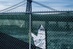East River Park Protest & Details		

Protesters gathered in East River Park to prevent contracted construction workers from cutting down trees for headway on the ESCR - East Side Coastal Resiliency project, an effort of the city to build a levee that will provide flood control.
According to public plans, a 1.2 mile wall with razed park over an 8 foot fill will line the East River, requiring the expunging of an estimated 1000 trees along the river bank. Last year in December the Cherry and London Plane trees of the south section of the park were, cut and further work has resumed on northern half this January. 
Locals in the city, retaliate against the project due to what they claim to be, a thwarted joint effort for a viable solution for flooding and keeping the park in tact that is beloved and iconic component of not only the neighborhood but NYC. 
For more information: 
www.eastriverparkaction.org
January 31, 2021
East River Park, East Village, NYC 
(C) Bianca Otero