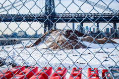 East River Park Protest & Details		

Protesters gathered in East River Park to prevent contracted construction workers from cutting down trees for headway on the ESCR - East Side Coastal Resiliency project, an effort of the city to build a levee that will provide flood control.
According to public plans, a 1.2 mile wall with razed park over an 8 foot fill will line the East River, requiring the expunging of an estimated 1000 trees along the river bank. Last year in December the Cherry and London Plane trees of the south section of the park were, cut and further work has resumed on northern half this January. 
Locals in the city, retaliate against the project due to what they claim to be, a thwarted joint effort for a viable solution for flooding and keeping the park in tact that is beloved and iconic component of not only the neighborhood but NYC. 
For more information: 
www.eastriverparkaction.org
January 31, 2021
East River Park, East Village, NYC 
(C) Bianca Otero