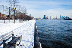 East River Park Protest & Details		

Protesters gathered in East River Park to prevent contracted construction workers from cutting down trees for headway on the ESCR - East Side Coastal Resiliency project, an effort of the city to build a levee that will provide flood control.
According to public plans, a 1.2 mile wall with razed park over an 8 foot fill will line the East River, requiring the expunging of an estimated 1000 trees along the river bank. Last year in December the Cherry and London Plane trees of the south section of the park were, cut and further work has resumed on northern half this January. 
Locals in the city, retaliate against the project due to what they claim to be, a thwarted joint effort for a viable solution for flooding and keeping the park in tact that is beloved and iconic component of not only the neighborhood but NYC. 
For more information: 
www.eastriverparkaction.org
January 31, 2021
East River Park, East Village, NYC 
(C) Bianca Otero