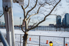 East River Park Protest & Details		

Protesters gathered in East River Park to prevent contracted construction workers from cutting down trees for headway on the ESCR - East Side Coastal Resiliency project, an effort of the city to build a levee that will provide flood control.
According to public plans, a 1.2 mile wall with razed park over an 8 foot fill will line the East River, requiring the expunging of an estimated 1000 trees along the river bank. Last year in December the Cherry and London Plane trees of the south section of the park were, cut and further work has resumed on northern half this January. 
Locals in the city, retaliate against the project due to what they claim to be, a thwarted joint effort for a viable solution for flooding and keeping the park in tact that is beloved and iconic component of not only the neighborhood but NYC. 
For more information: 
www.eastriverparkaction.org
January 31, 2021
East River Park, East Village, NYC 
(C) Bianca Otero