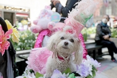 Participants march in the 2021 Annual Easter Bonnet Parade on Fifth Avenue in New York City on April 4, 2021. Paradegoers either dressed in their finest clothing or in colorful bonnets of all shapes and sizes still attended the annual Easter holiday tradition, on the steps of St. Patrick's Cathedral or in nearby Rockefeller Center, despite the Covid 19 pandemic.   (Photo by Andrew Schwartz)