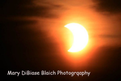 Eclipse
June 10, 2021
Staten Island, NY

For credit:  Mary DiBiase Blaich

A rare sun and moon eclipse made its appearance at sunrise this morning before clouds covered the event.