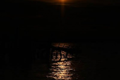 Eclipse
June 10, 2021
Staten Island, NY

For credit:  Mary DiBiase Blaich

A rare sun and moon eclipse made its appearance at sunrise this morning before clouds covered the event.