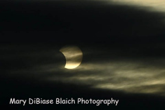 Eclipse
June 10, 2021
Staten Island, NY

For credit:  Mary DiBiase Blaich

A rare sun and moon eclipse made its appearance at sunrise this morning before clouds covered the event.