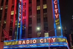 Radio City Music Hall and the Disney Store are boarded up in anticipation of protests in New York City due to the presidential election.