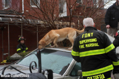 February 4, 2022  New York   
House explosion and Two alarm fire broke out in the early morning hours of Friday February 4,2022 The explosion shook the Bath Beach Neighborhood  New York City Fire Department , New York City Police Department , Emergency Medical Service, New York City Department of Buildings personnel all responded to the scene. Special cadaver dog was also brought in to help in the rescue efforts.