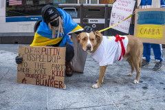 Ukraine Rally in Times Square 
Photos by Milo Hess