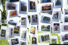 Saturday, September 25, 2021
Snug Harbor Cultural Center
Staten Island, NY
Photographs by
Mary DiBiase Blaich

The Staten Island Museum's 71st Annual Fence Show, highlighting art and fine crafts, was held today at  Snug Harbor Cultural Center  in Livingston, Staten Island.