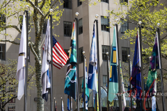 Flag Project 2022 at Rockefeller Center!
