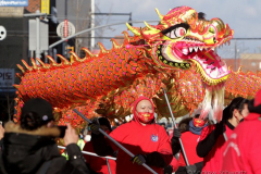 Dragon dancers perform in celebration of the Lunar New Year during the annual Flushing Lunar New Year Parade in Flushing NY on February 5, 2022. This year is celebrated as the year of the Tiger.  (Photo by Andrew Schwartz)