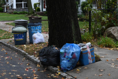 Garbage Piling Up
Staten Island, NY
Tuesday, October 26, 2021
For Credit:  Mary DiBiase Blaich

Sanitation has not collected garbage on Staten Island in close to a week.  The trucks have been driving around, but skipping the pickups.