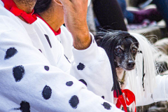 The 23rd Great PUPkin contest took place again after a year hiatus due to COVID. The biggest dog costume contest Fort Greene with over 80 contestants and hundreds of onlookers. While all were impressive, the winner this year was Howie and his Hot Dog Stand taking first place. (C) Bianca Otero. October 31, 2021. Brooklyn, New York