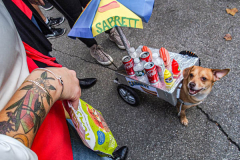 The 23rd Great PUPkin contest took place again after a year hiatus due to COVID. The biggest dog costume contest Fort Greene with over 80 contestants and hundreds of onlookers. While all were impressive, the winner this year was Howie and his Hot Dog Stand taking first place. (C) Bianca Otero. October 31, 2021. Brooklyn, New York