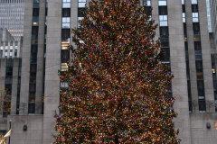 Holiday Spirit in New York City is back.