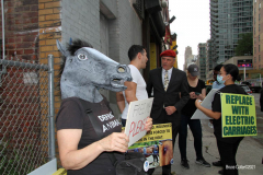 New York,  Representatives from NYCLASS, PETA and other community advocates engage in a protest outside the 38th Street stable to demand immediate action from the city to save the life of an injured, emaciated horse that was being forced to pull carriages while exhibiting open wounds. Transit Workers Union 100 hold up signs to counter protest the event.
Curtis Sliwa who is running for N.Y.C. Mayor next year holds sign and speaks at the podium.