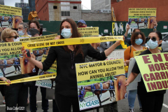 New York,  Representatives from NYCLASS, PETA and other community advocates engage in a protest outside the 38th Street stable to demand immediate action from the city to save the life of an injured, emaciated horse that was being forced to pull carriages while exhibiting open wounds. Transit Workers Union 100 hold up signs to counter protest the event.
Curtis Sliwa who is running for N.Y.C. Mayor next year holds sign and speaks at the podium.