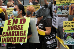 New York,  Representatives from NYCLASS, PETA and other community advocates engage in a protest outside the 38th Street stable to demand immediate action from the city to save the life of an injured, emaciated horse that was being forced to pull carriages while exhibiting open wounds. Transit Workers Union 100 hold up signs to counter protest the event.
Curtis Sliwa who is running for N.Y.C. Mayor next year holds sign and speaks at the podium.